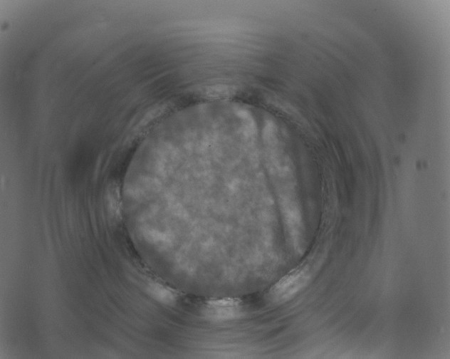 X0000073410240200608251533