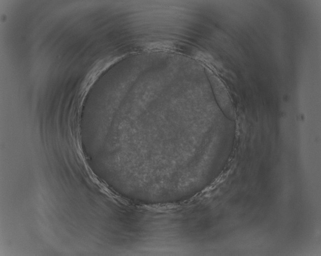 X0000073410241200608251532