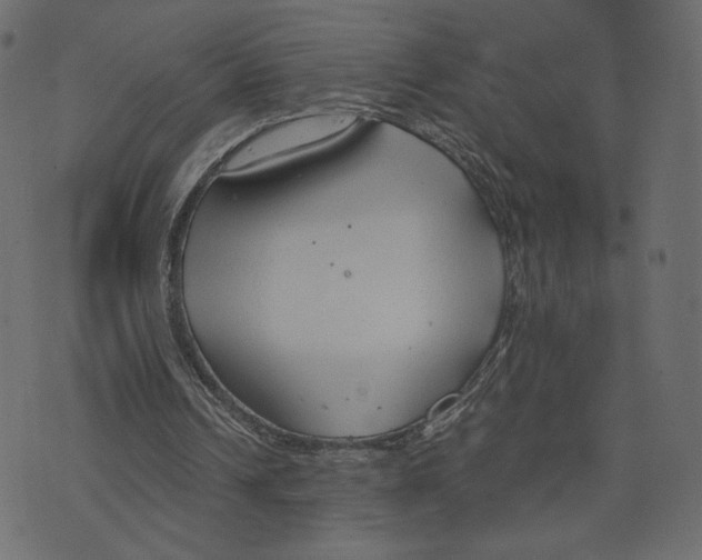 X0000073410242200608251532