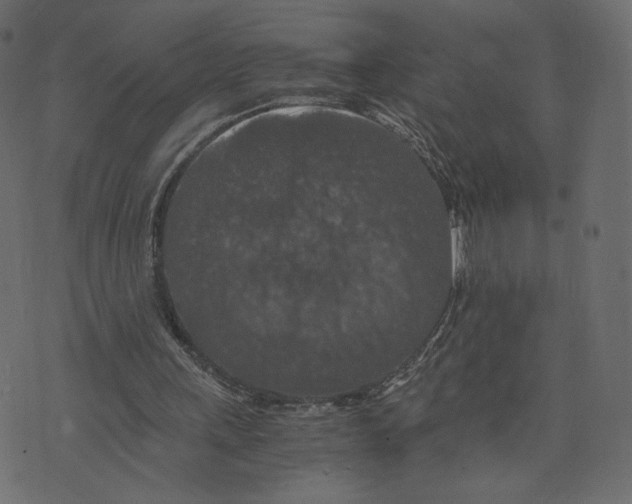 X0000073410243200608251532