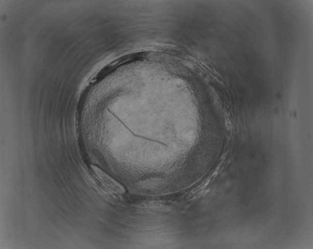 X0000073410244200608251532