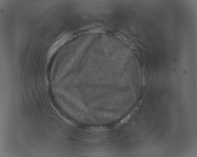 X0000073410245200608251532