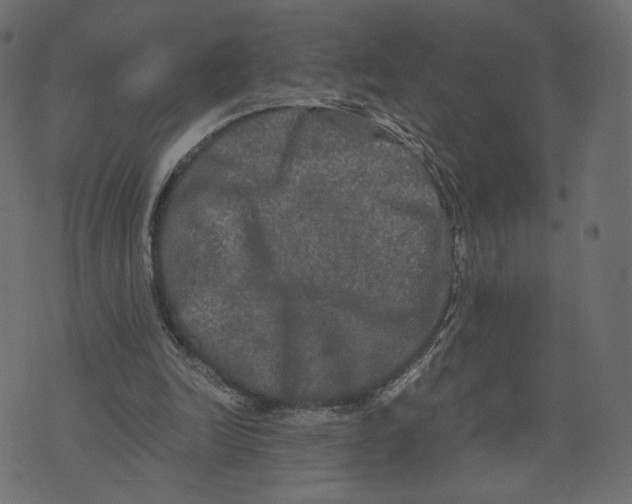 X0000073410246200608251532