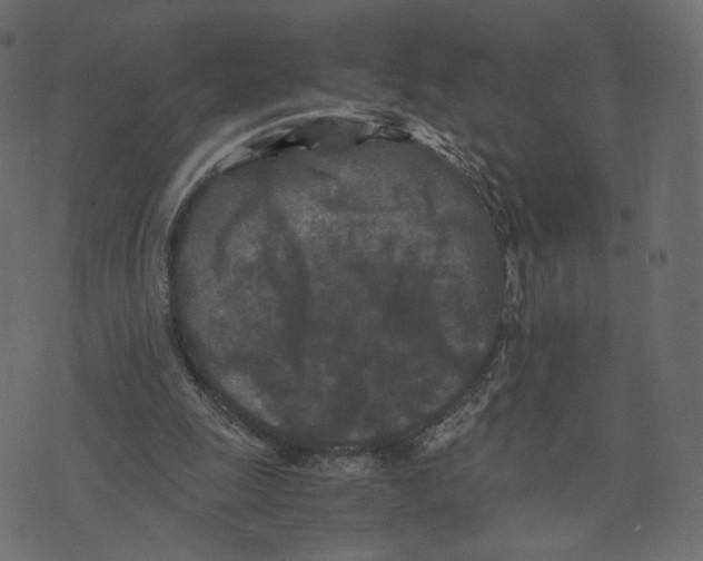 X0000073410247200608251532