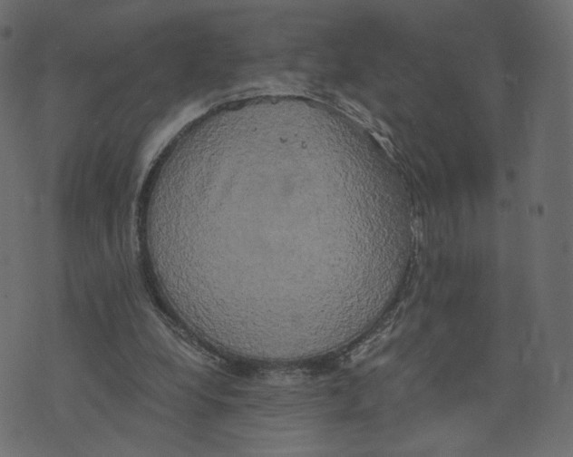 X0000073410248200608251532