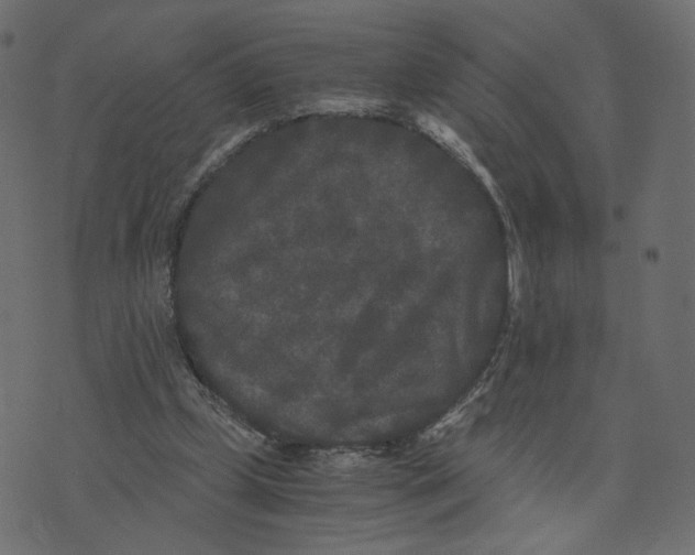 X0000073410249200608251532