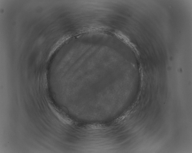 X0000073410250200608251532