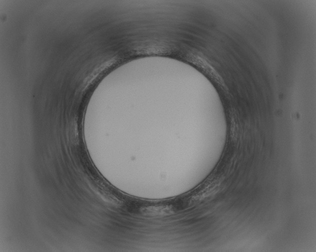 X0000073410251200608251532