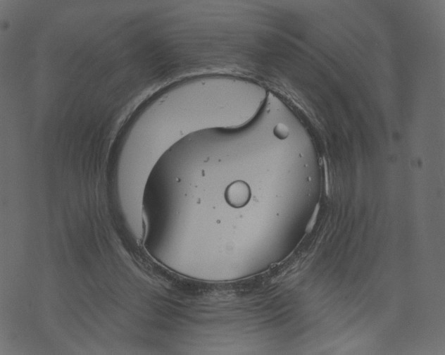 X0000073410252200608251532