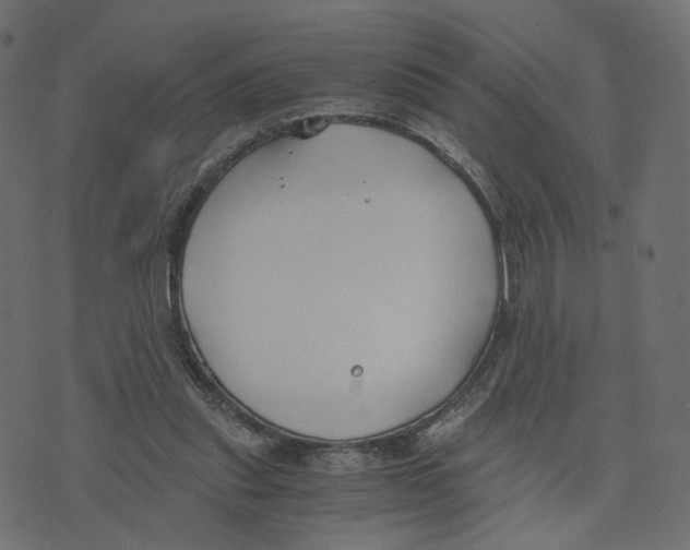 X0000073410253200608251532