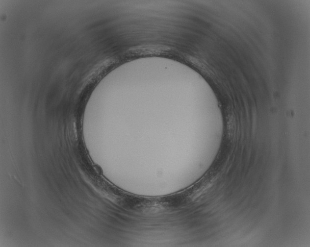 X0000073410254200608251532