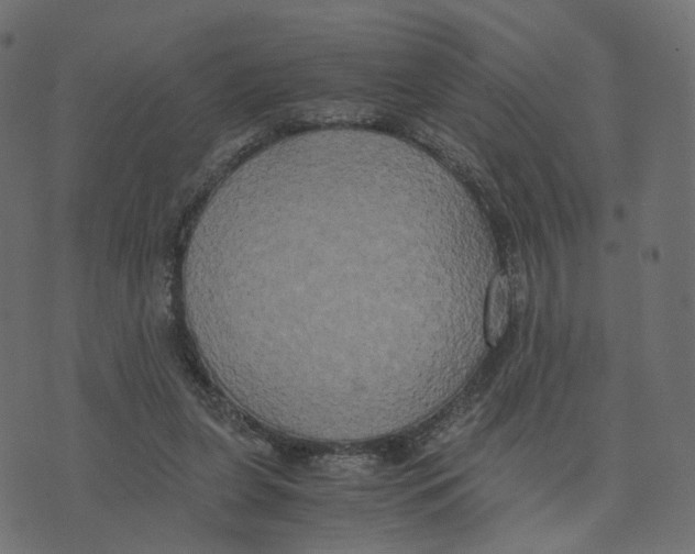 X0000073410255200608251532