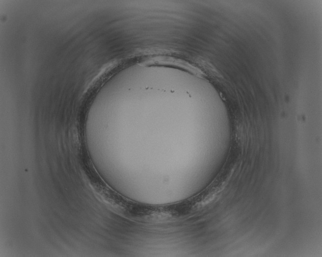 X0000073410256200608251532