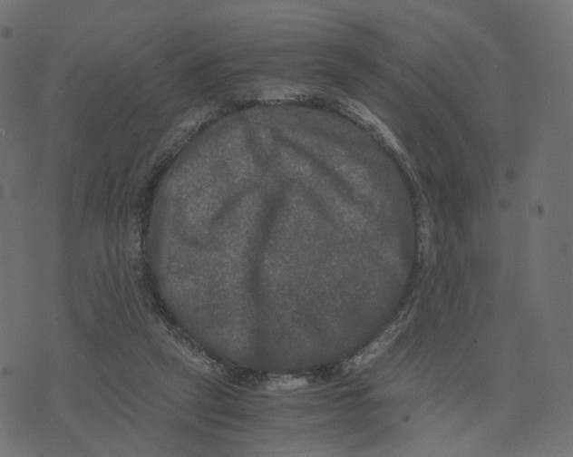 X0000073410257200608251532