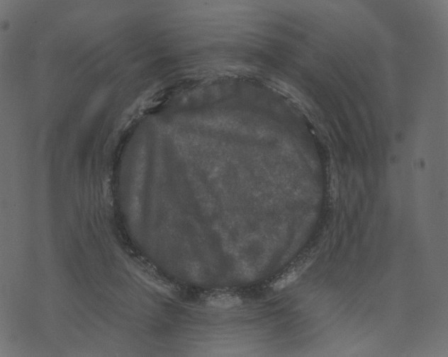 X0000073410258200608251532