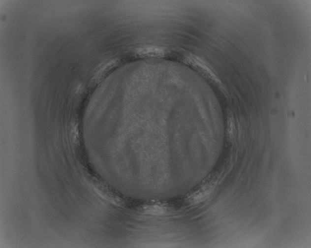 X0000073410259200608251532