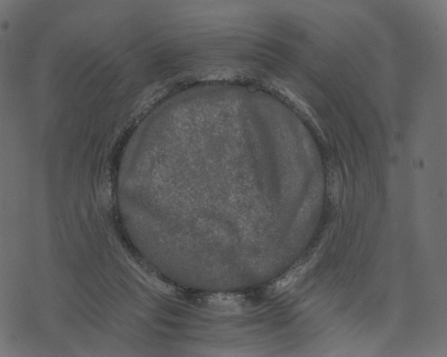 X0000073410261200608251532