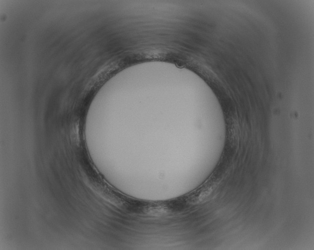 X0000073410262200608251532