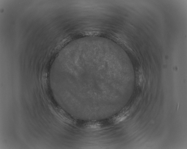 X0000073410263200608251532