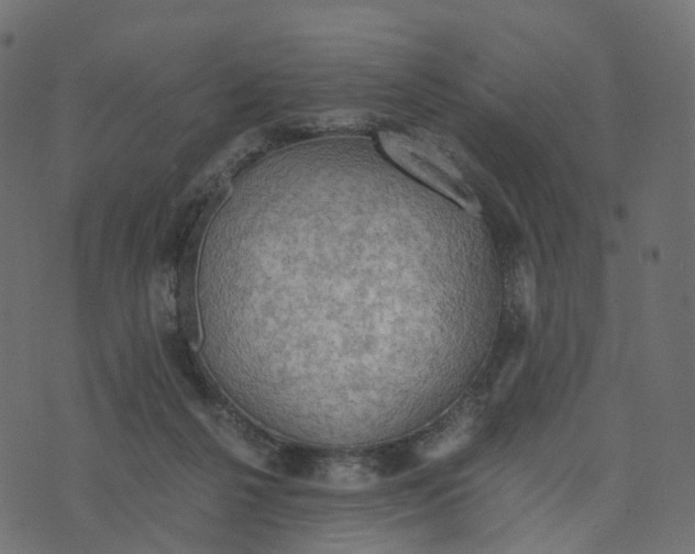 X0000073410264200608251532