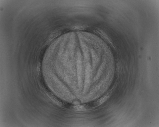 X0000073410265200608251532