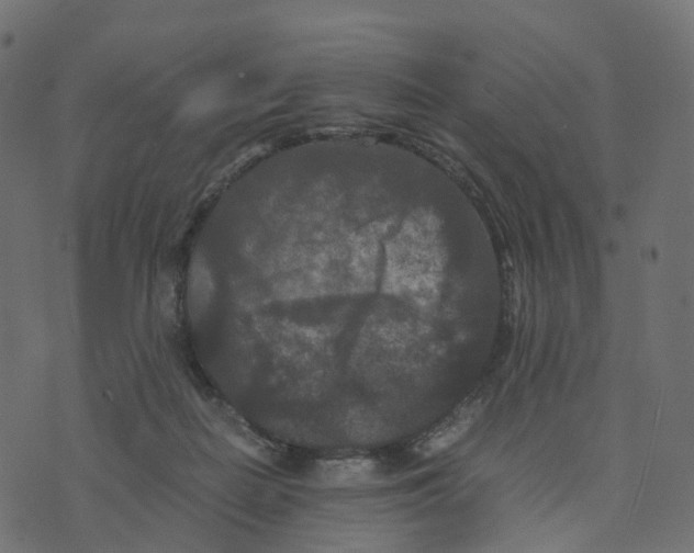 X0000073410266200608251532