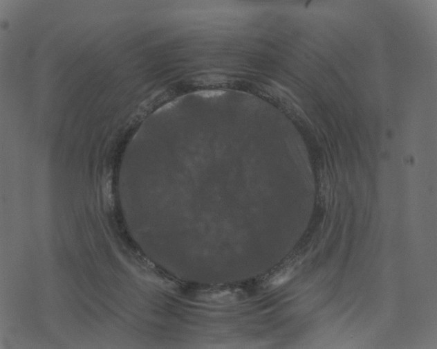 X0000073410267200608251532