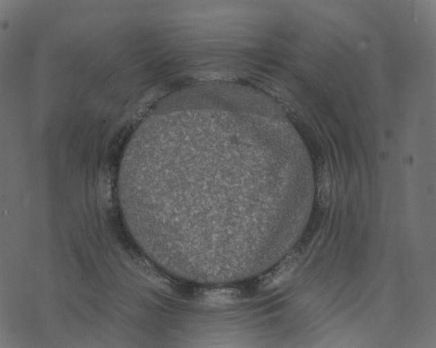 X0000073410268200608251532