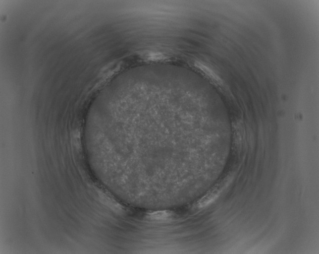 X0000073410269200608251532