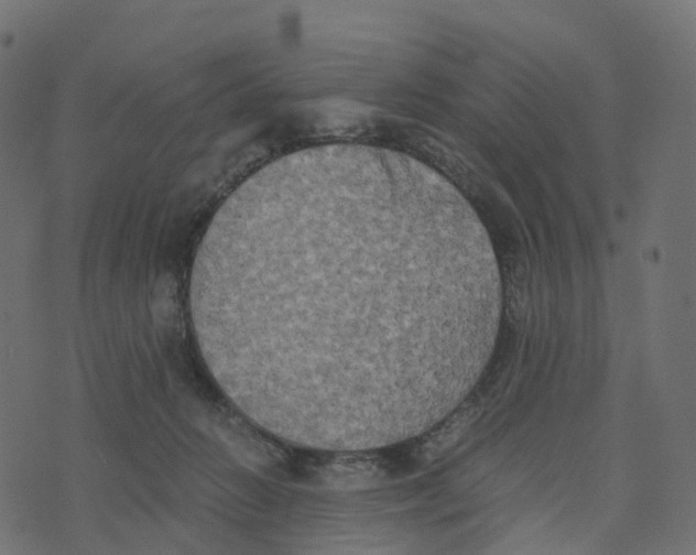 X0000073410270200608251532