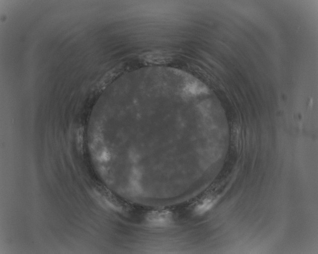 X0000073410271200608251532