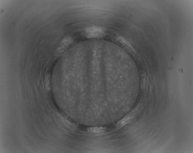 X0000073410273200608251532