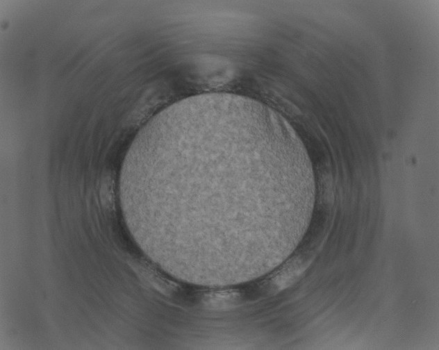 X0000073410274200608251532