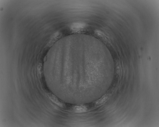 X0000073410275200608251532