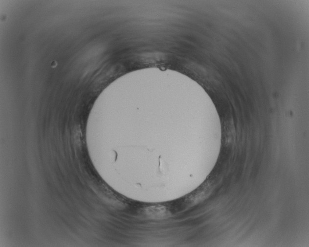 X0000073410279200608251532