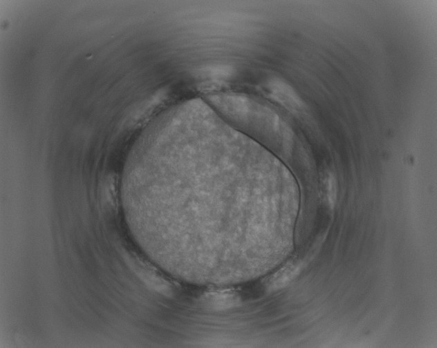 X0000073410280200608251532