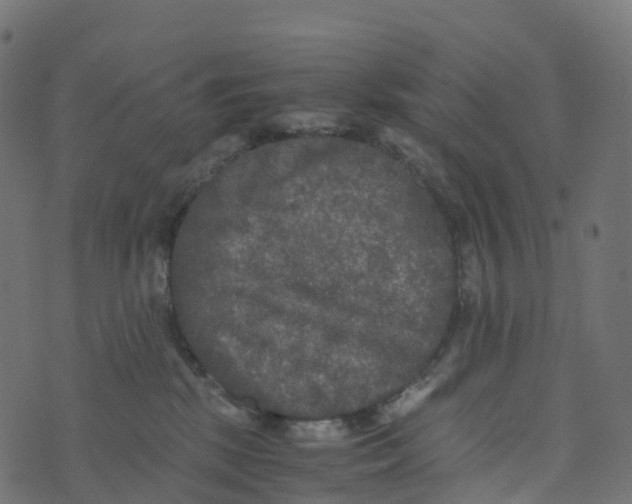 X0000073410281200608251532