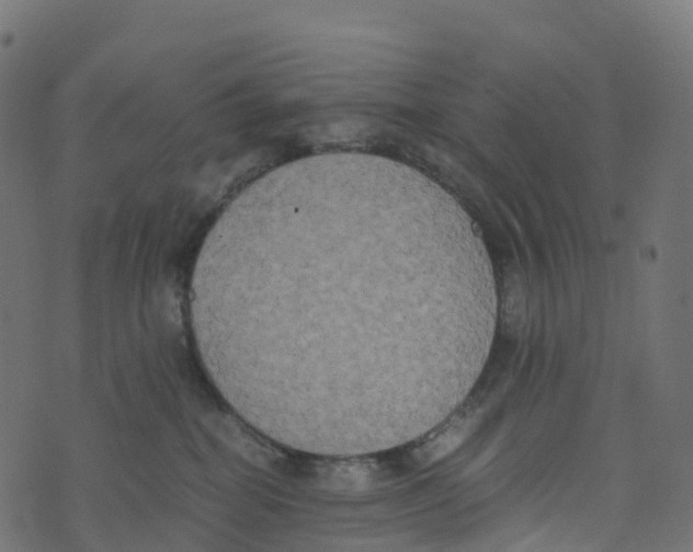 X0000073410282200608251532