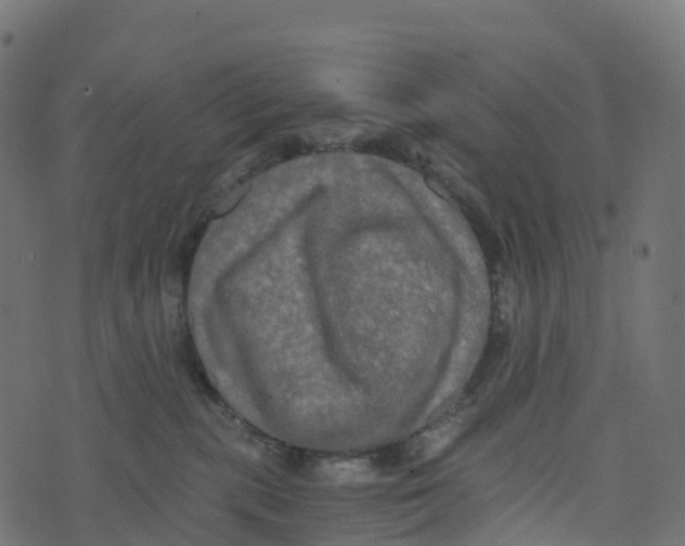 X0000073410283200608251532