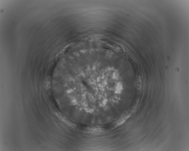 X0000073410284200608251533