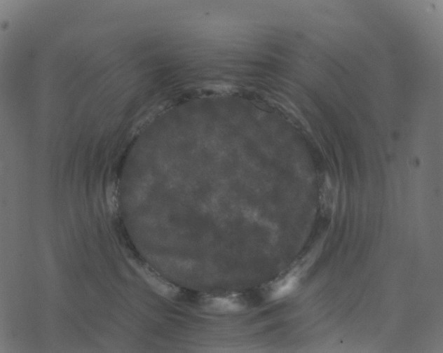 X0000073410285200608251533