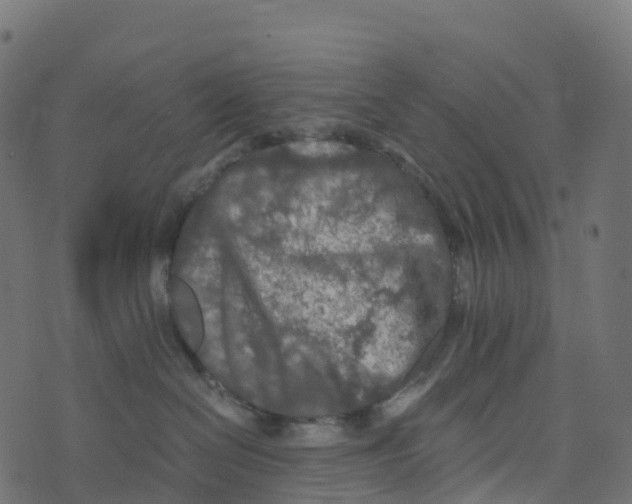 X0000073410286200608251533