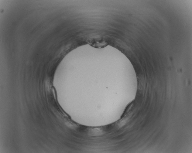 X0000073410287200608251533