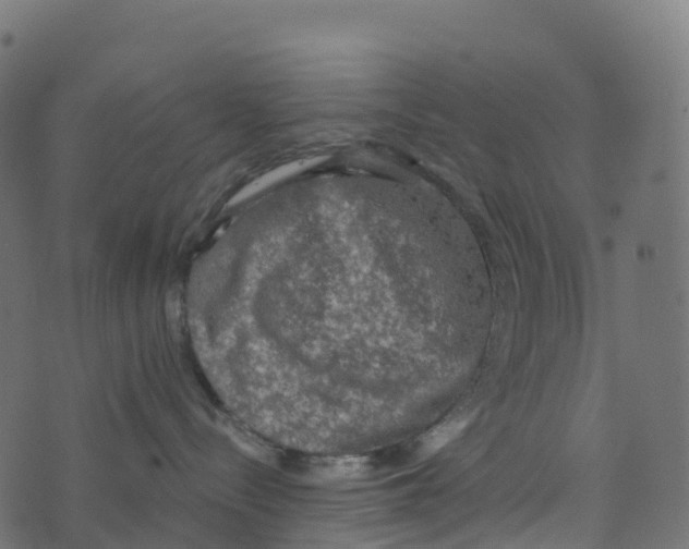 X0000073410288200608251533