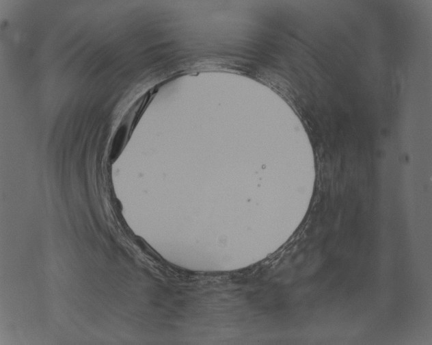 X0000073410289200608251532