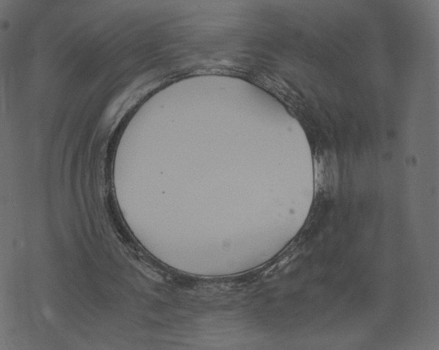 X0000073410291200608251532