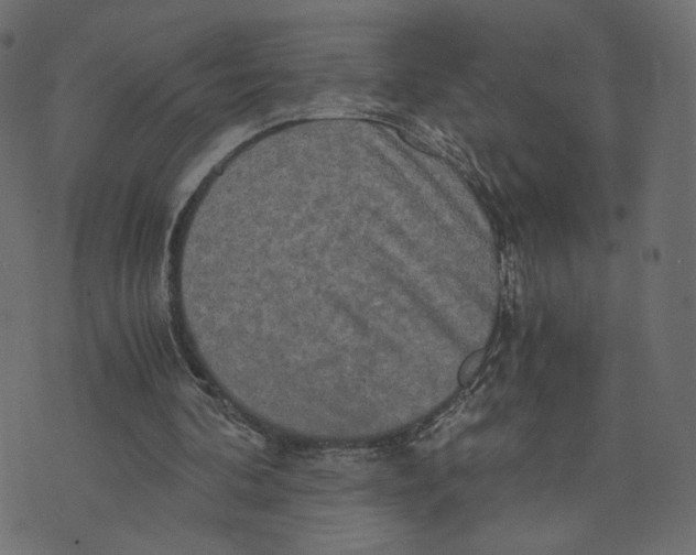 X0000073410292200608251532