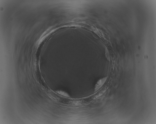 X0000073410295200608251532