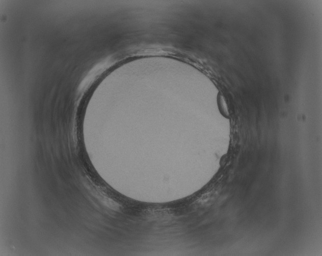 X0000073410296200608251532