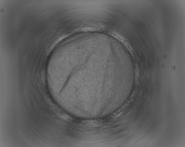 X0000073410297200608251532